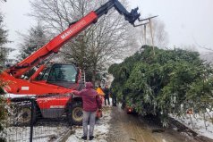 Losowe zdjęcie pochodzące z galerii wydarzenia: dekoracje świąteczne 